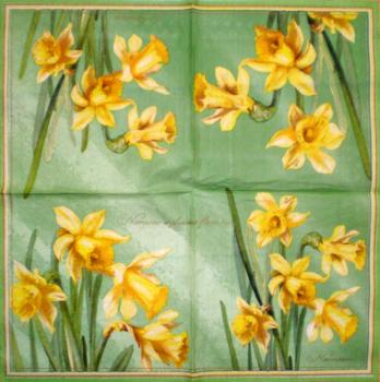 044 Daffodils - 3-ply (bright grün)